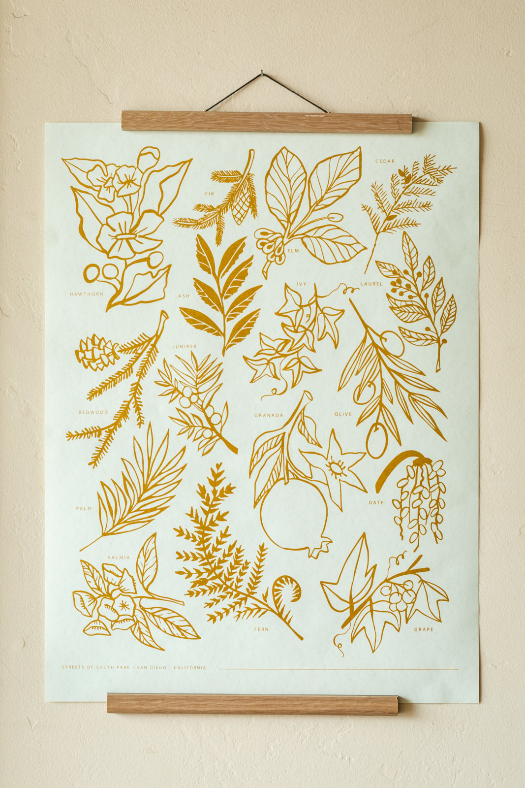 Botanical Print of South Park