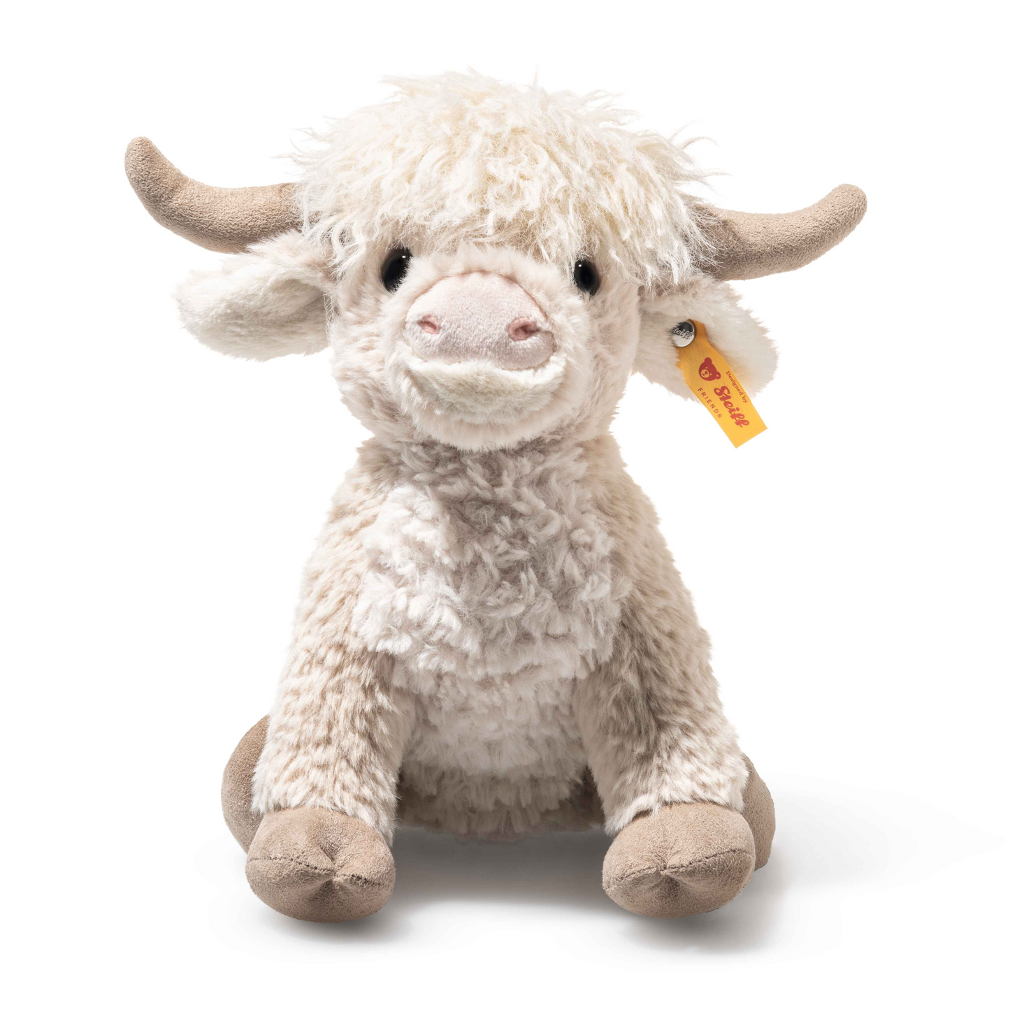 Highland Cow