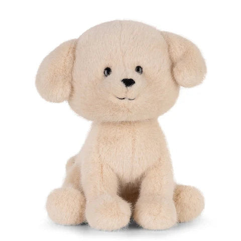 Loulou the Labrador
