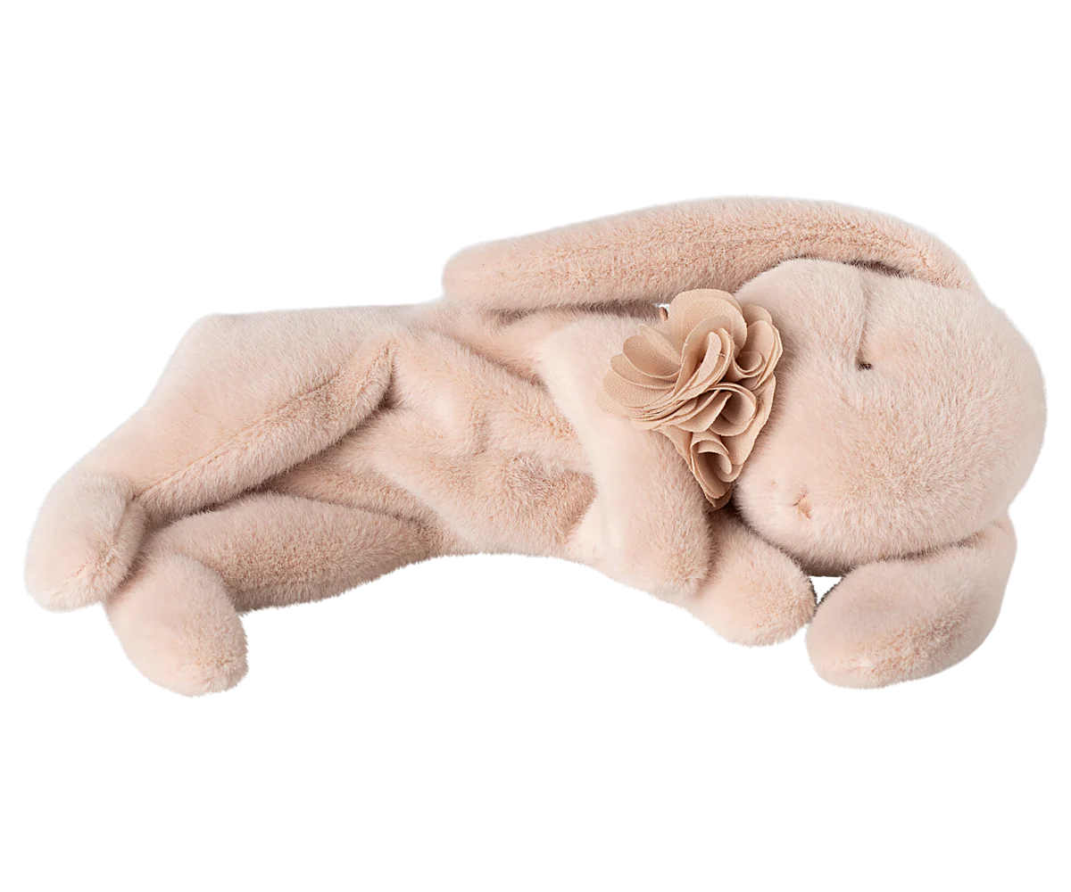 Sleeping Bunny