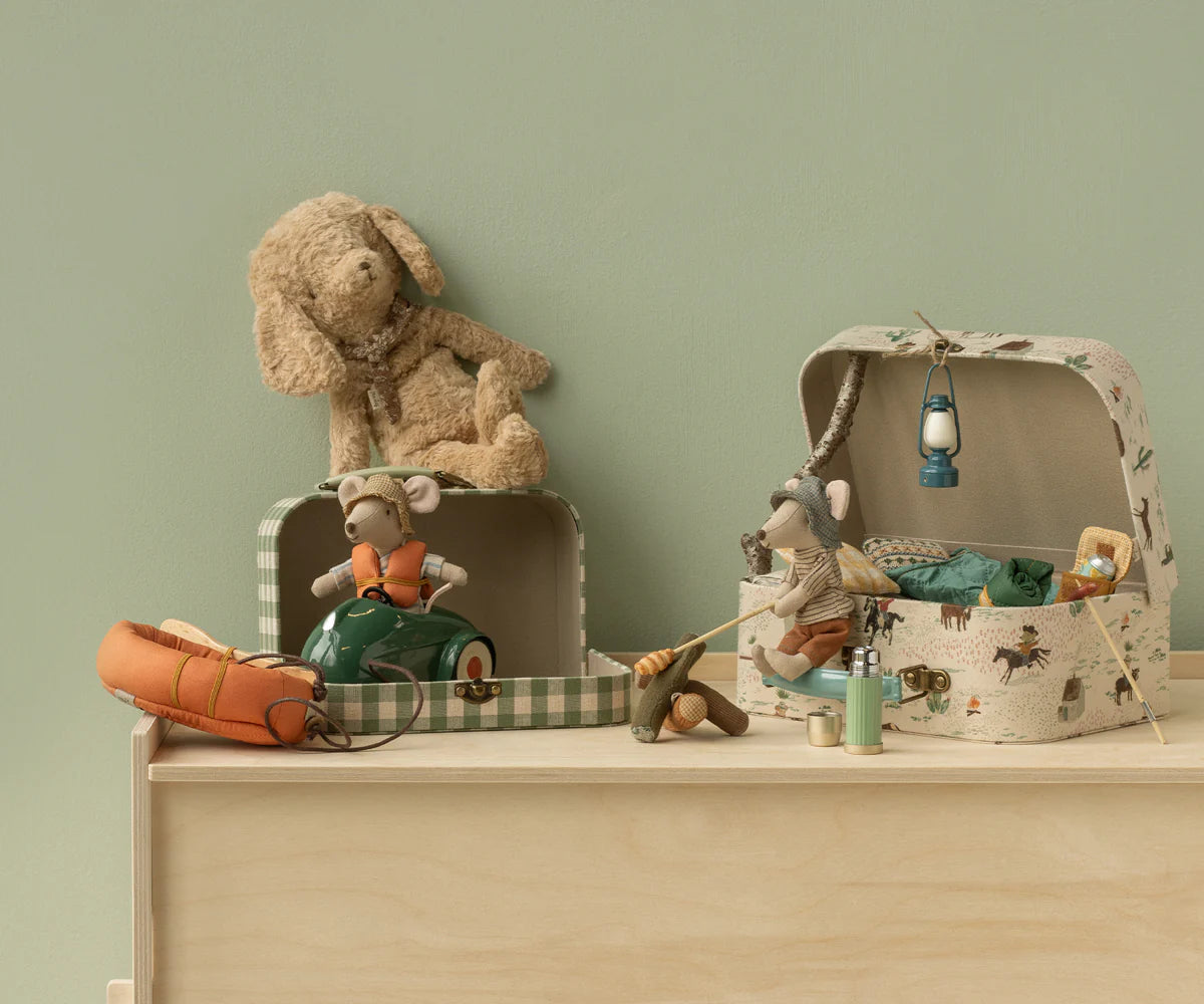 Pony Suitcase Set
