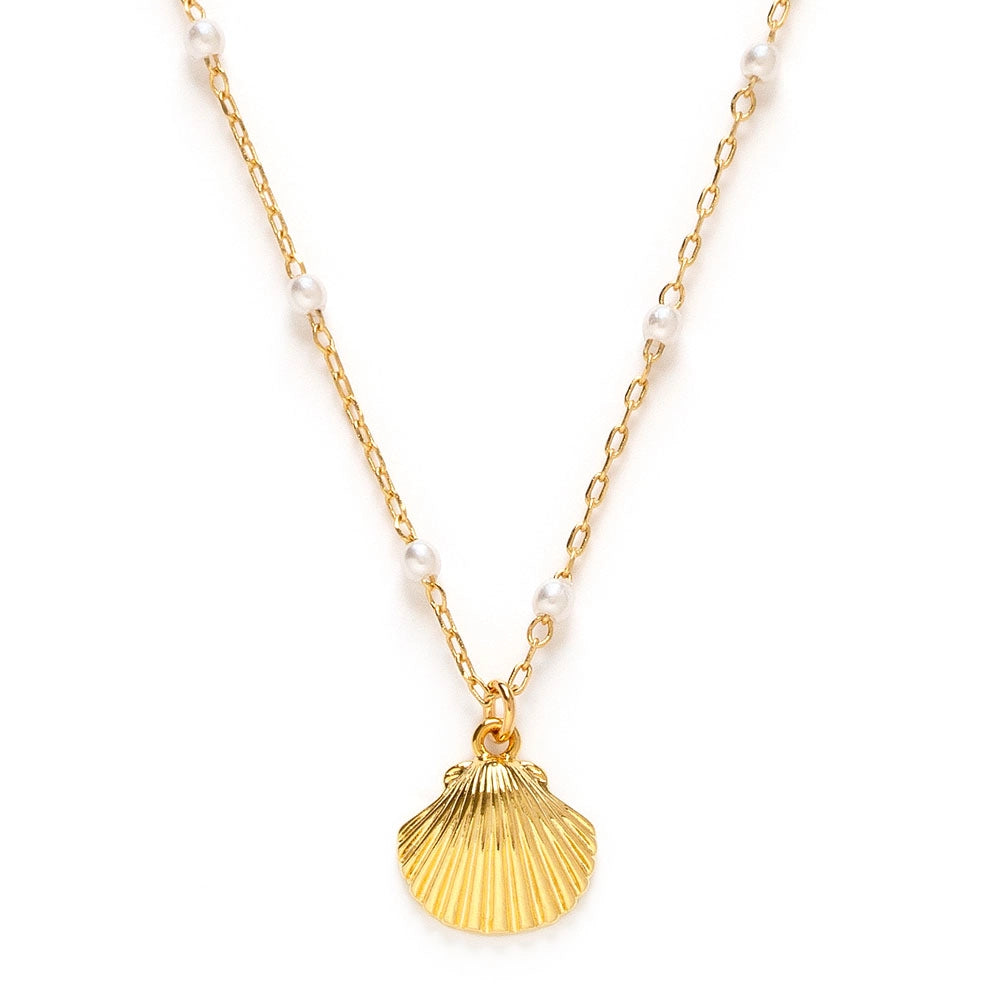 Scallop Shell and Pearl Necklace
