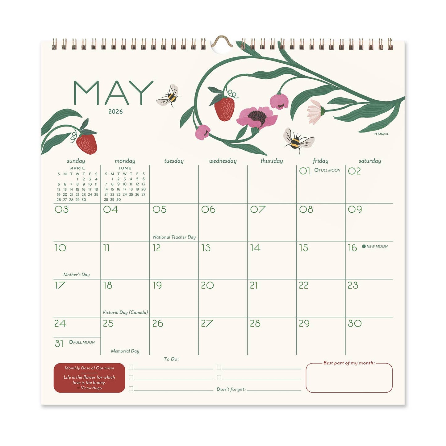 2026 Garden Party 12 Month Classic Grid Calendar