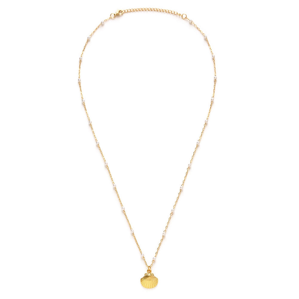 Scallop Shell and Pearl Necklace