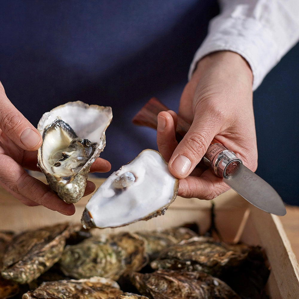 Folding Oyster Knife