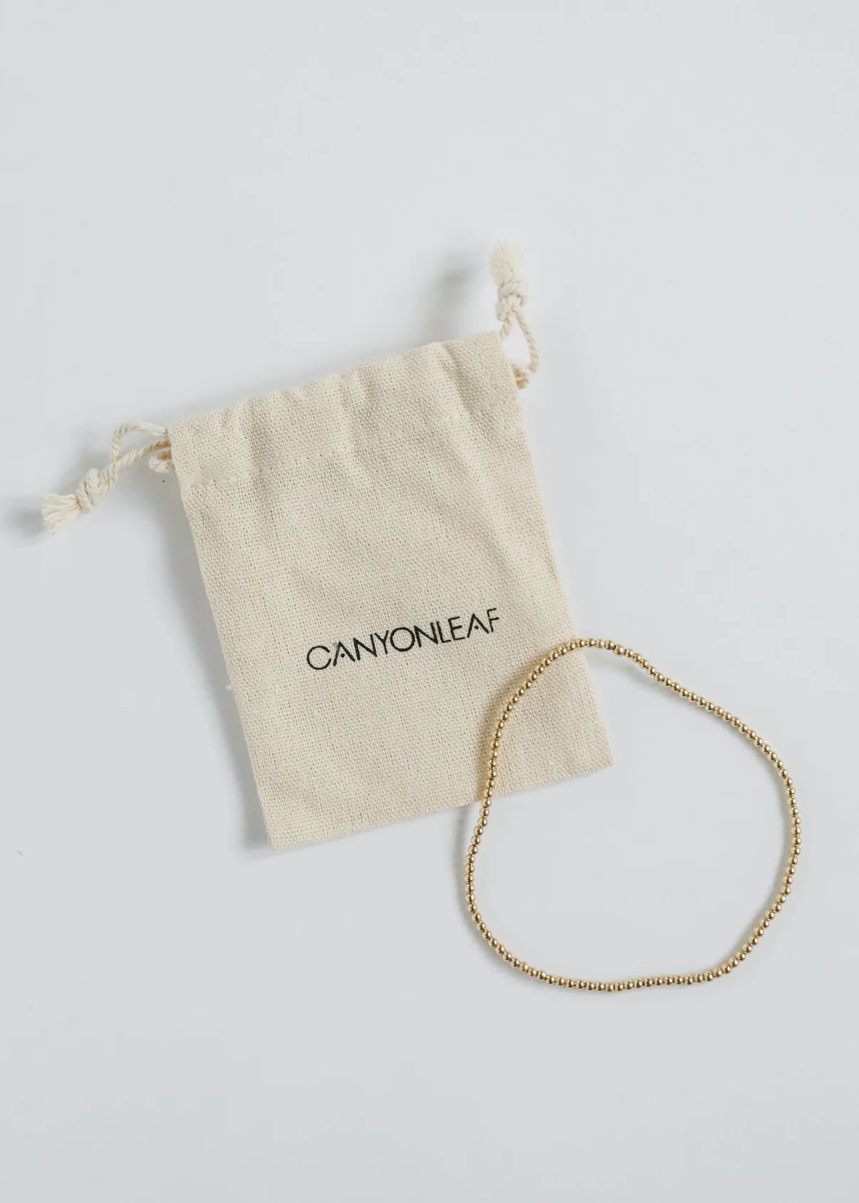 Dainty Gold Anklet