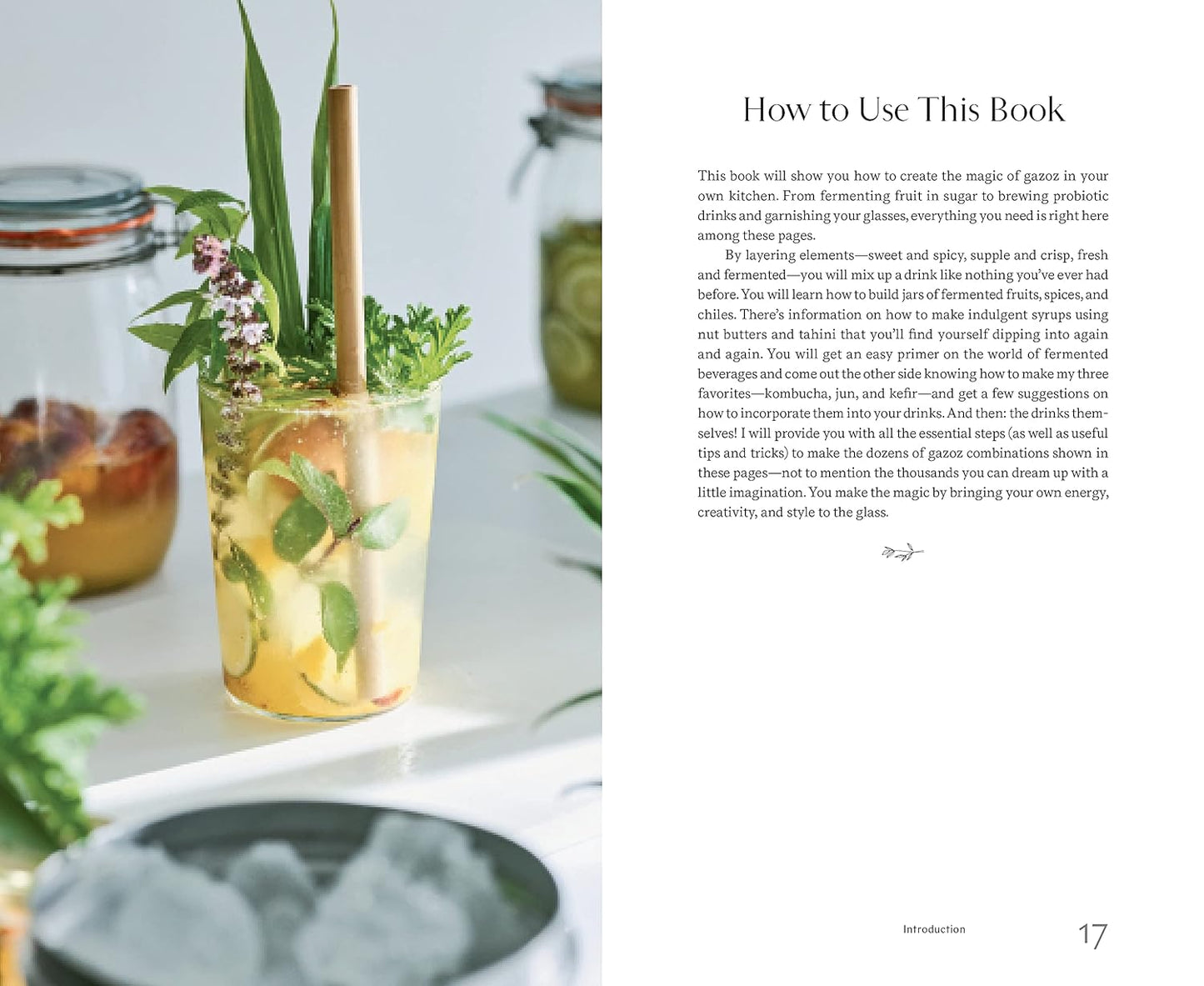 Gazoz: The Art of Making Magical Seasonal Sparkling Drinks