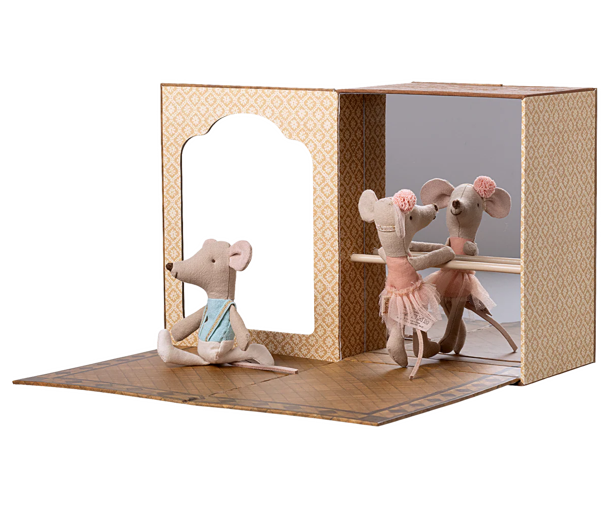 Ballet mice in dance studio, Little sister & brother