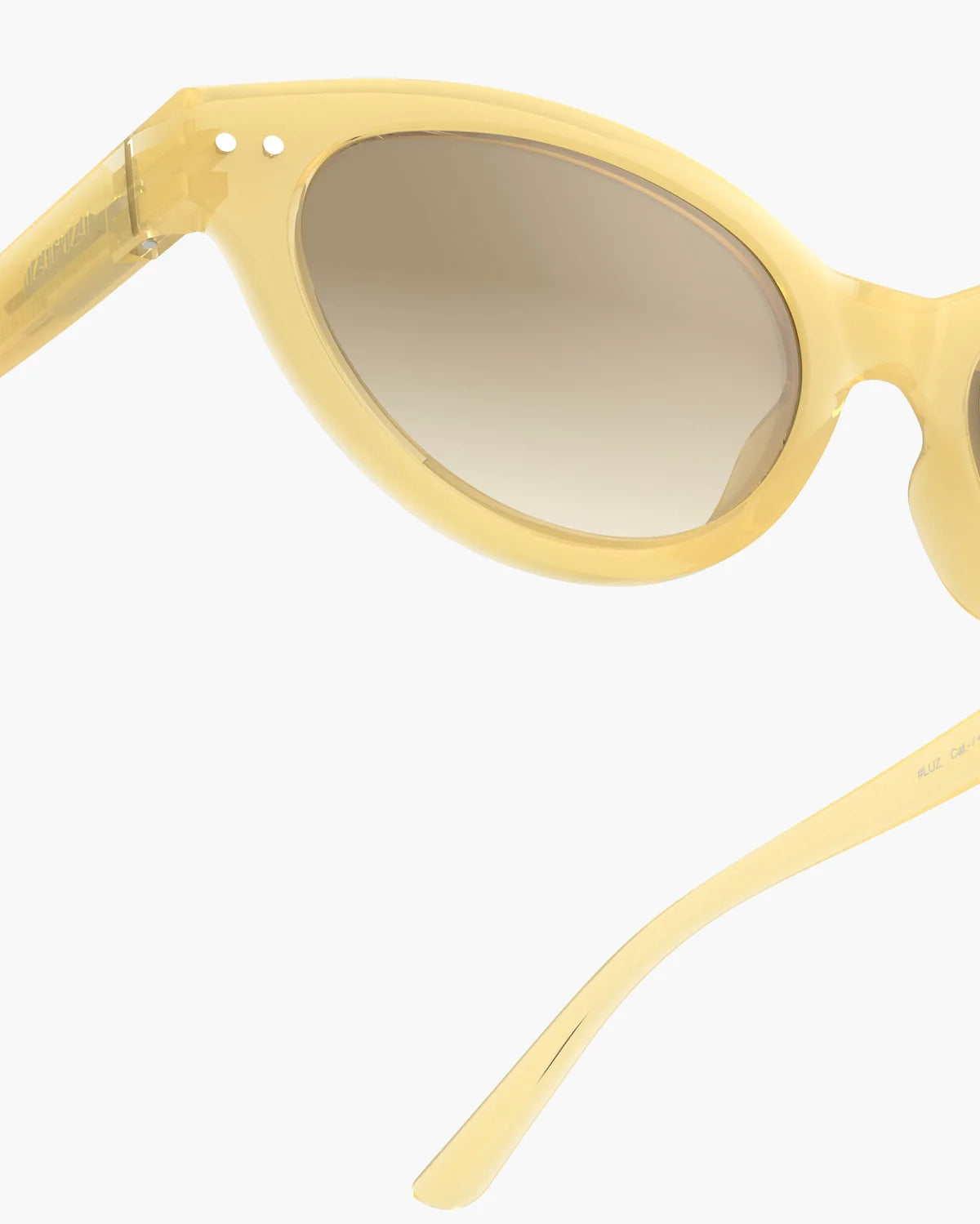 #Luz Sunglasses