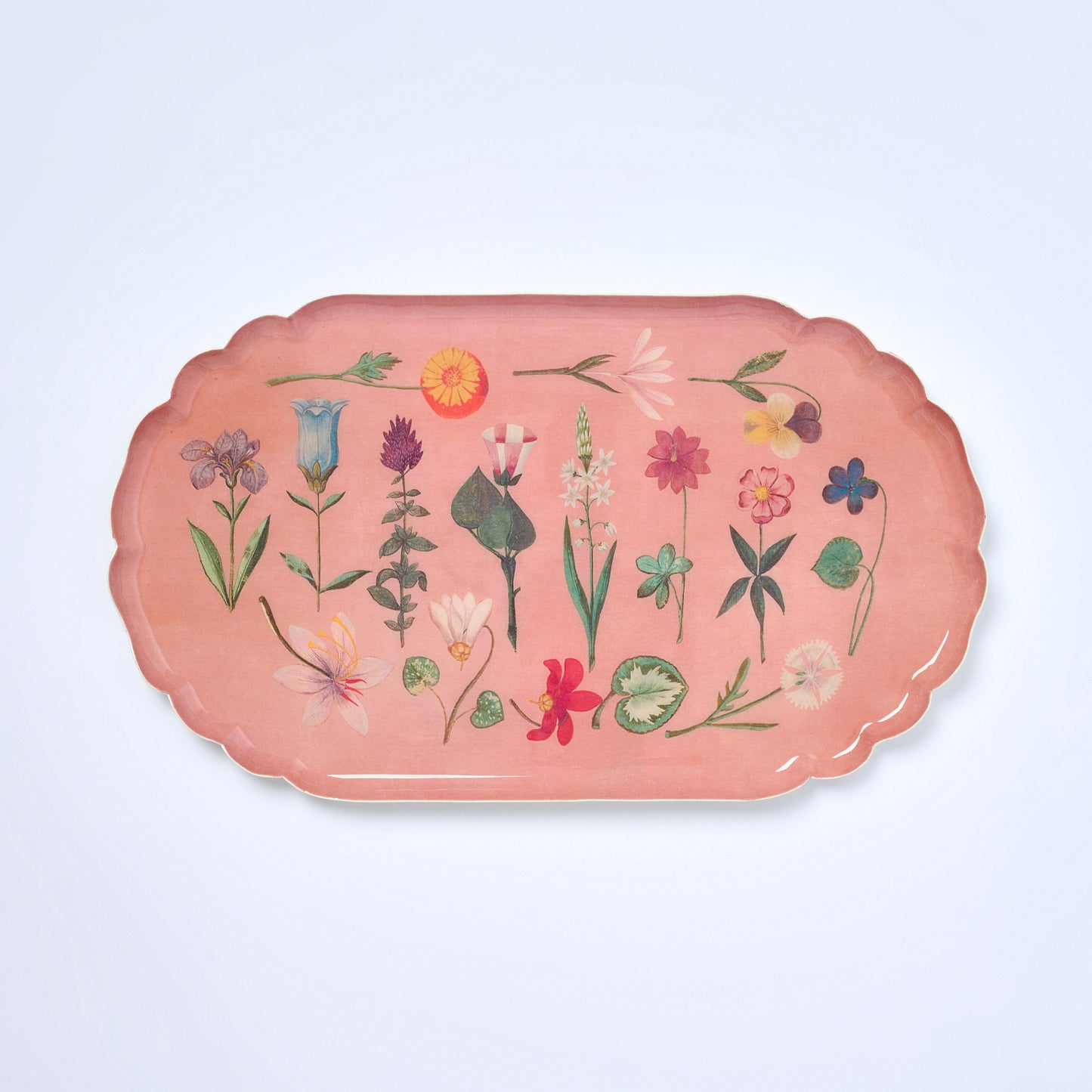 Enamel Tray