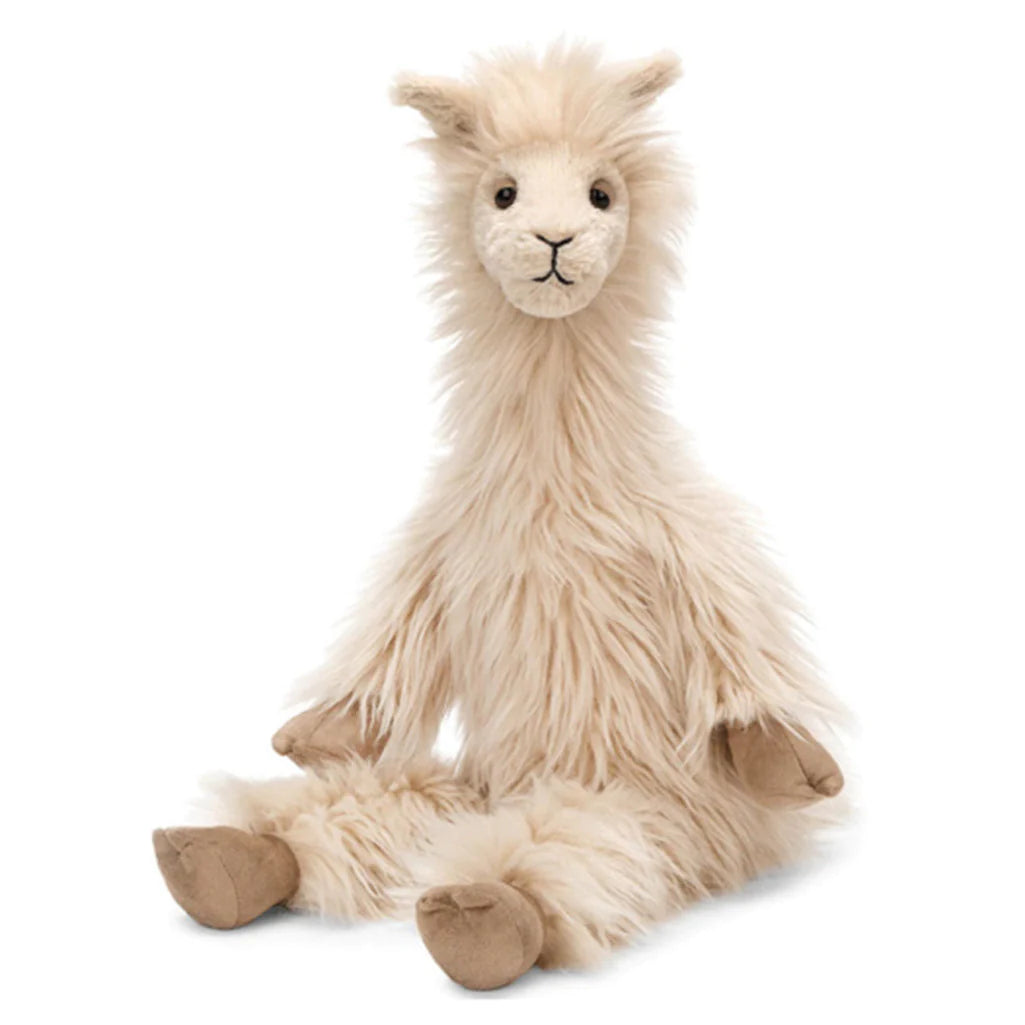Luis Llama