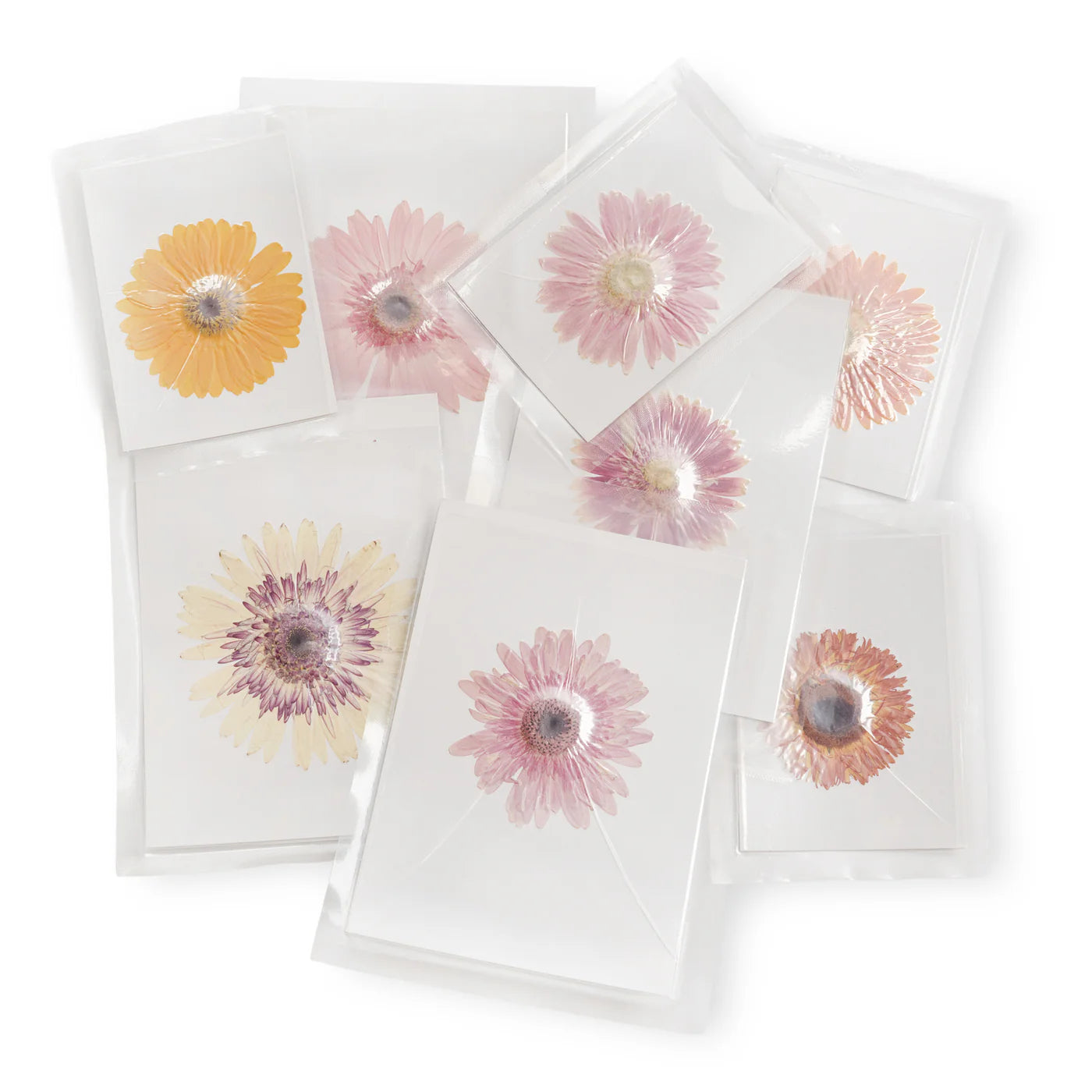 Pressed Flower Collection