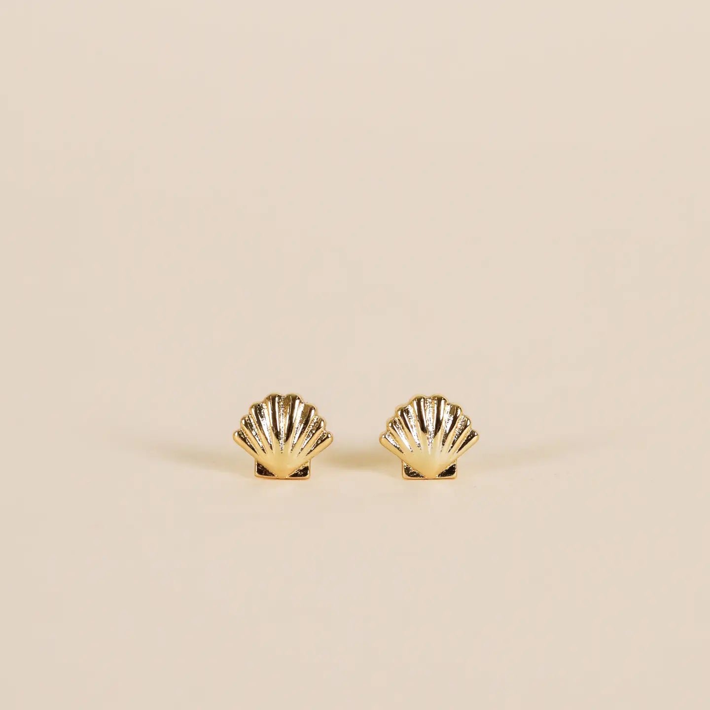 Seashell Earrings