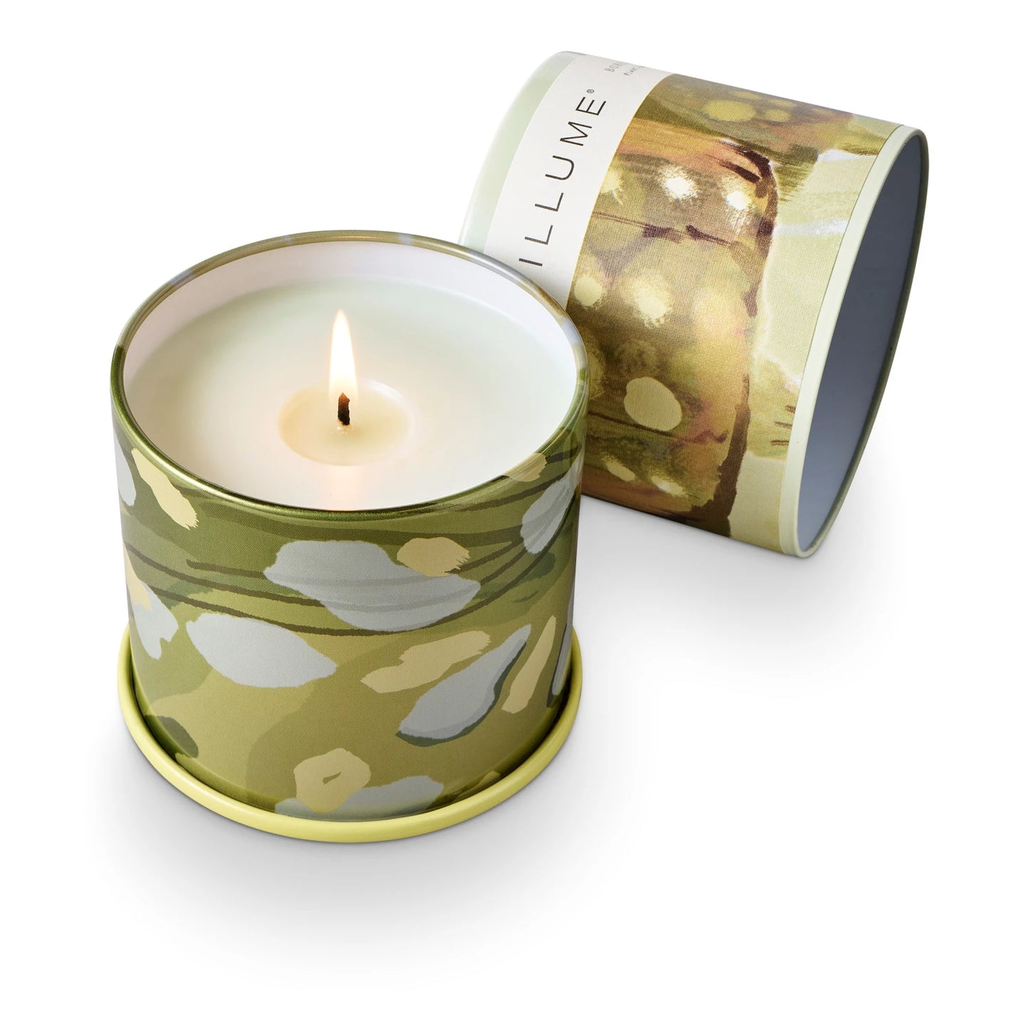 Borealis Moss Vanity Tin Candle