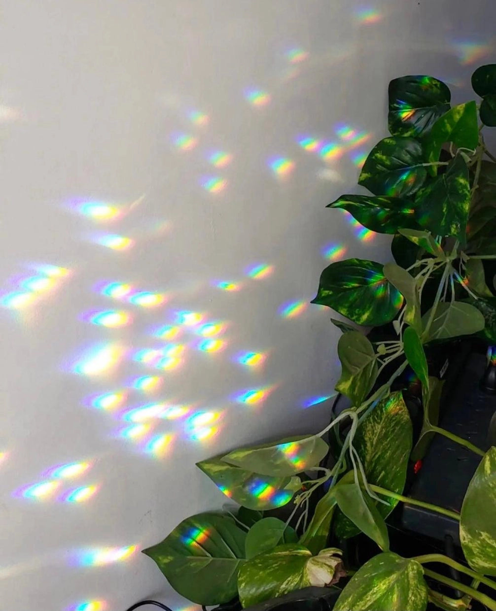 Golden Hour Sun Catcher