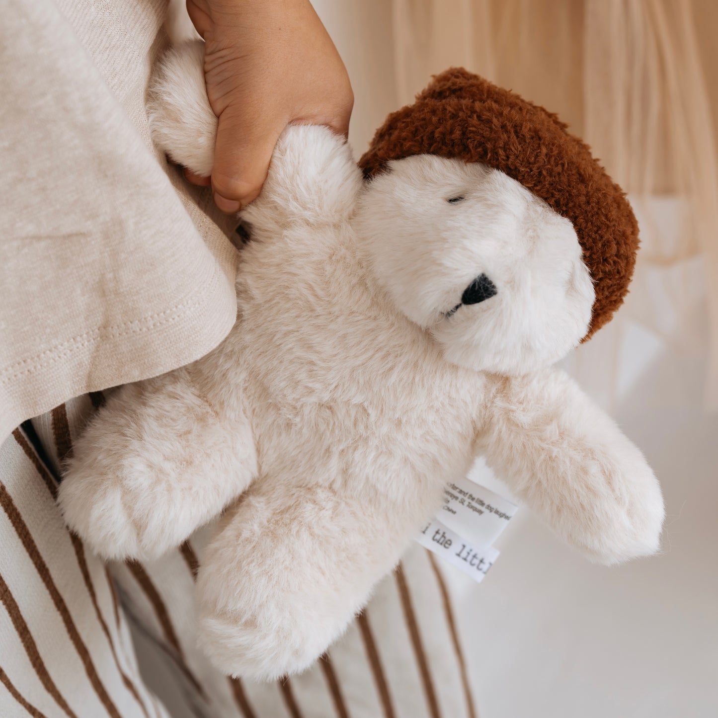 Freddie Bear