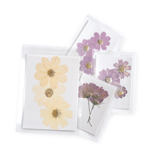 Pressed Flower Collection