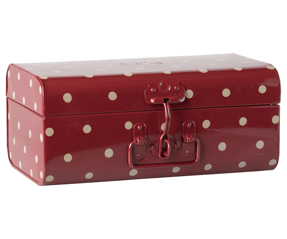 Storage Suitcase