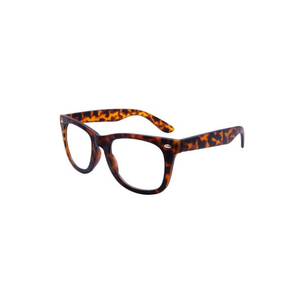 Elwood Tortoise