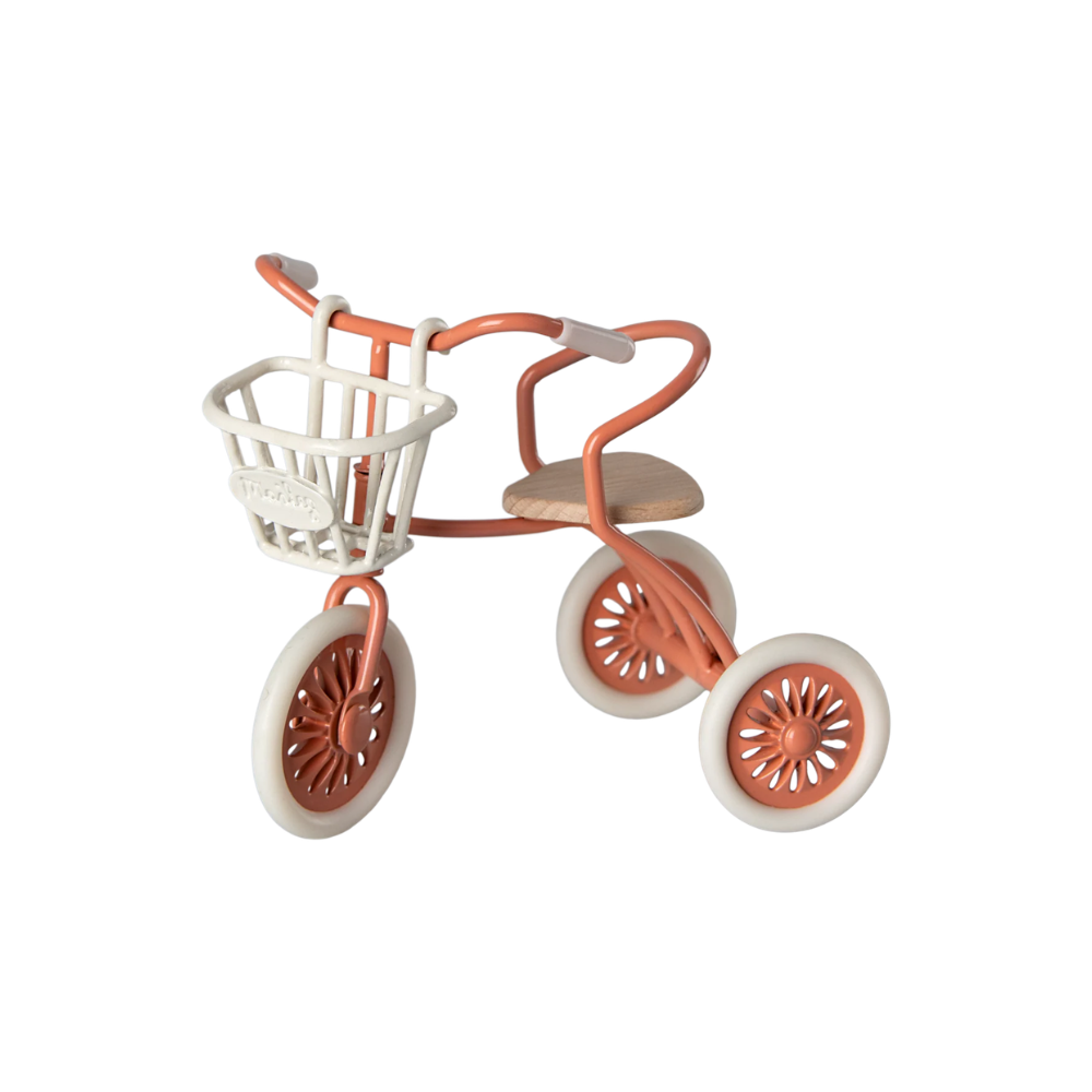 Mouse Tricycle Basket