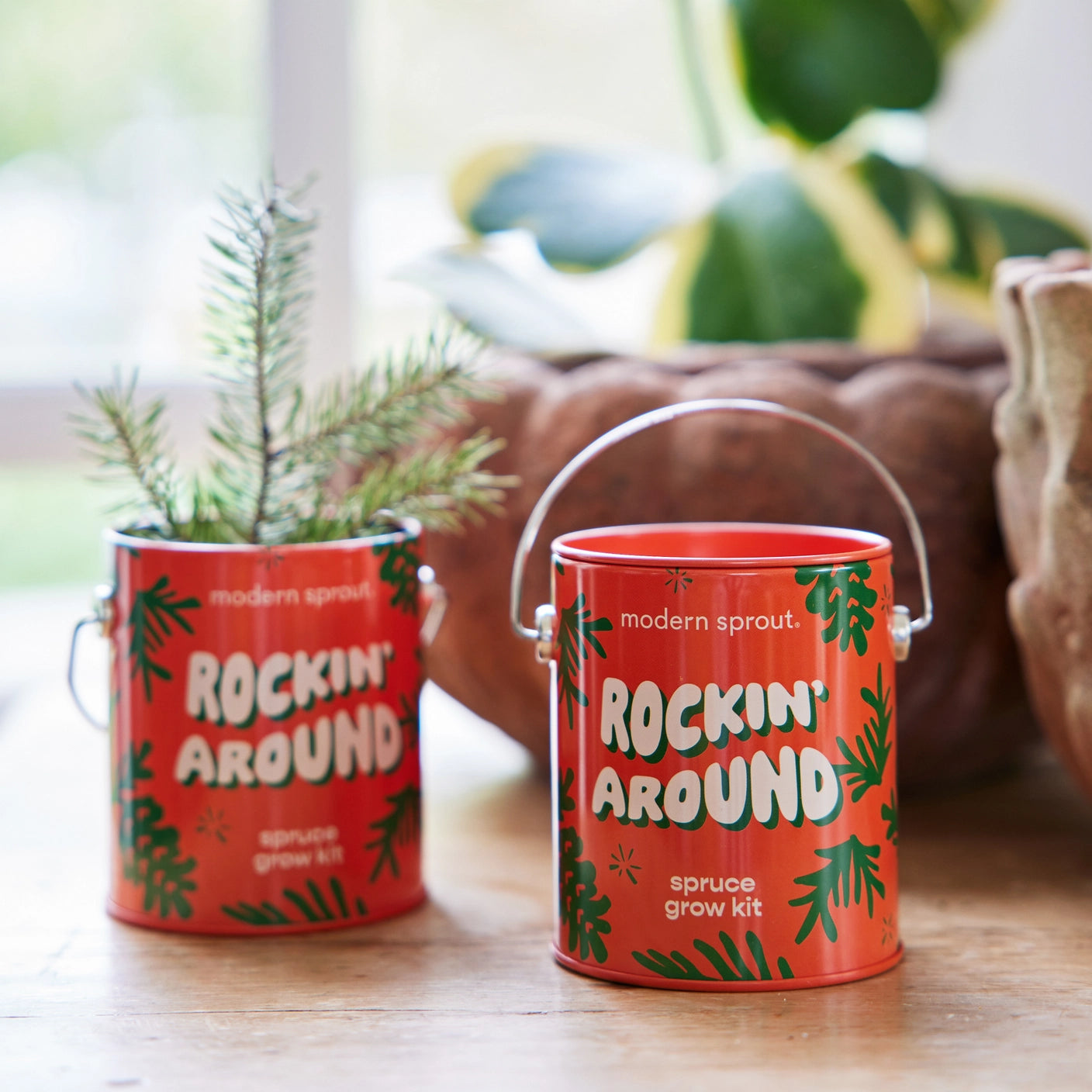 Holiday Color Grow Kits
