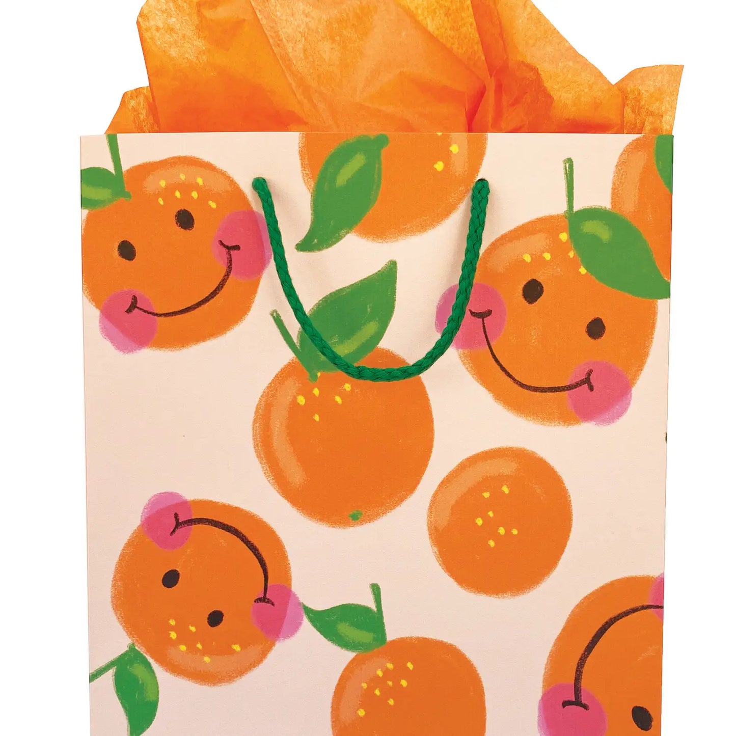 Printed Gift Bag