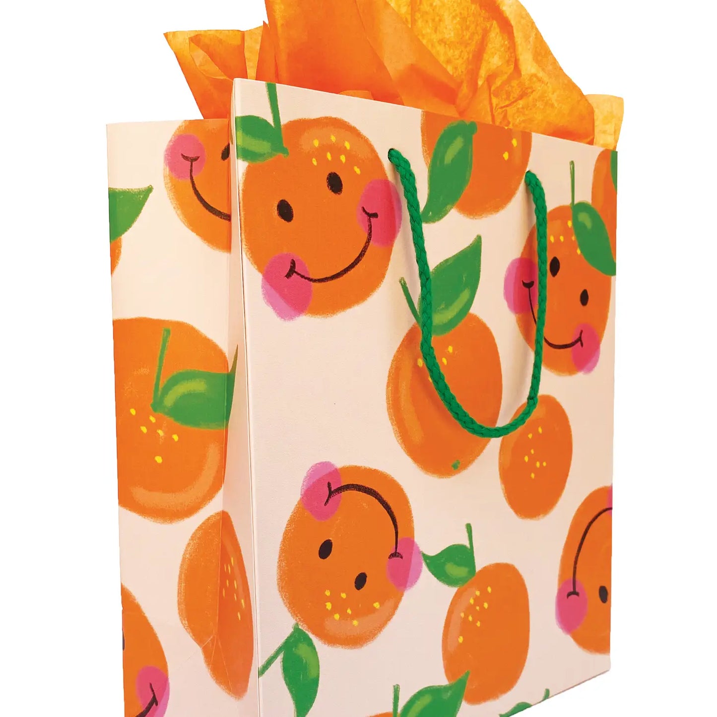 Printed Gift Bag