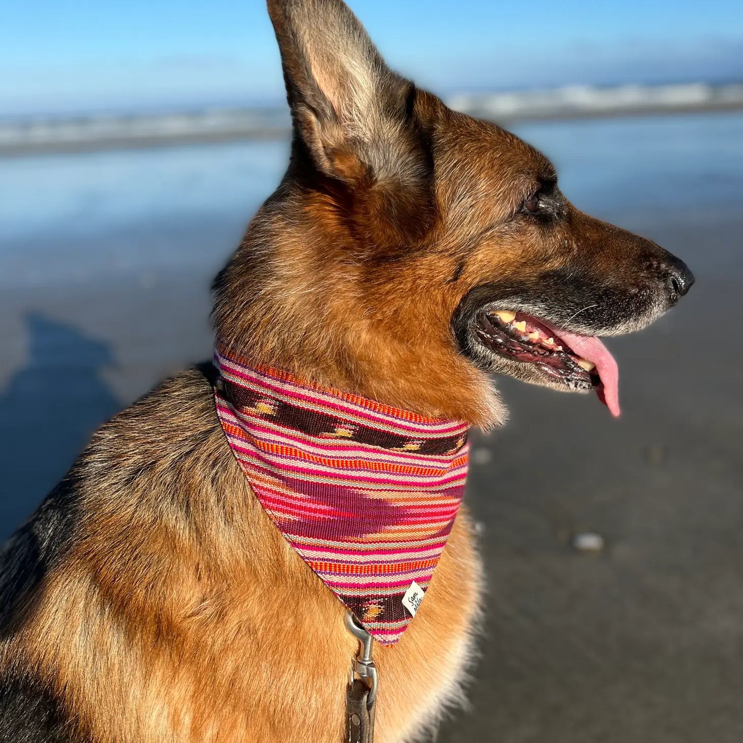 Dog Bandana
