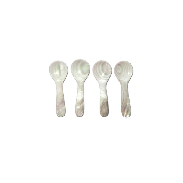 Seashell Spoons Small