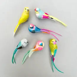 Feathered Bird & Butterflies