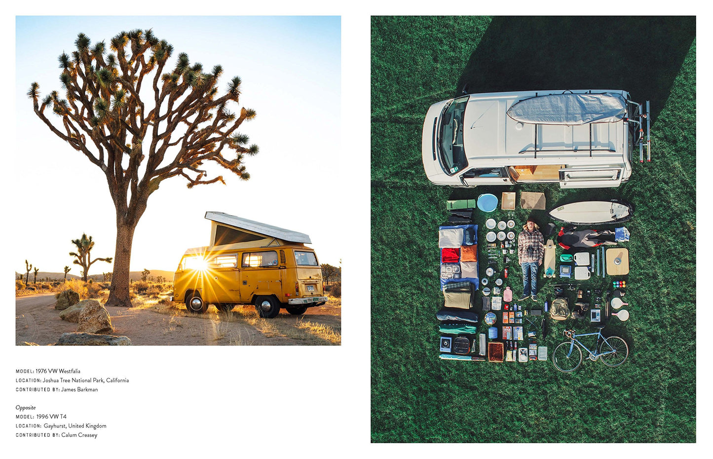 Van Life - Gold Leaf