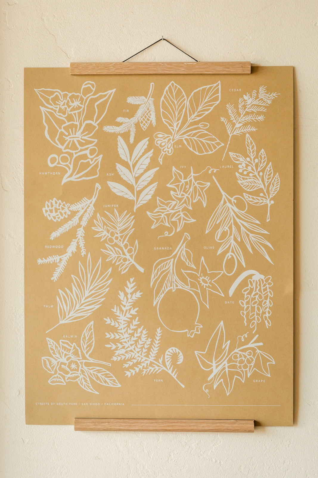 Botanical Print of South Park