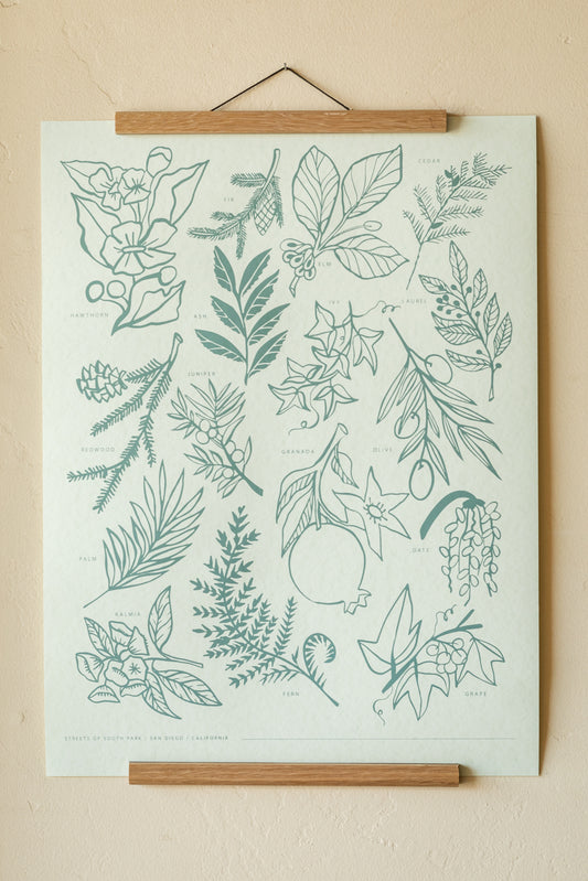 Botanical Print of South Park