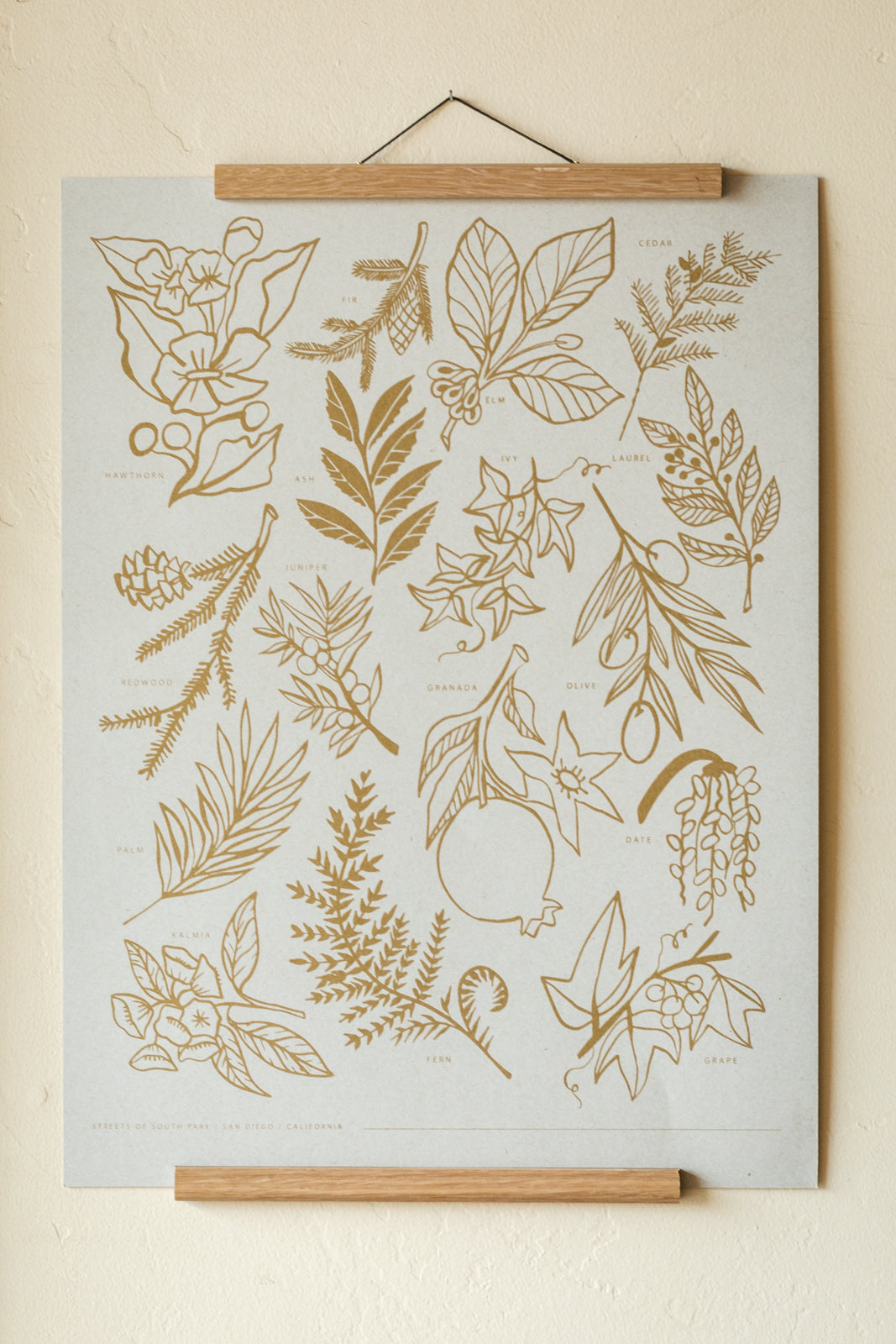 Botanical Print of South Park