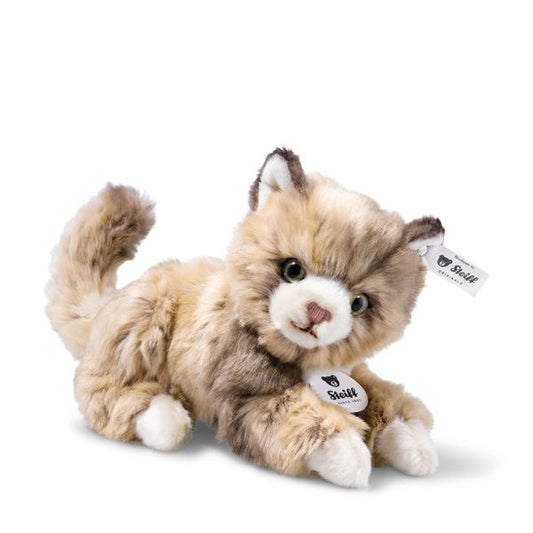 Lucy Cat
