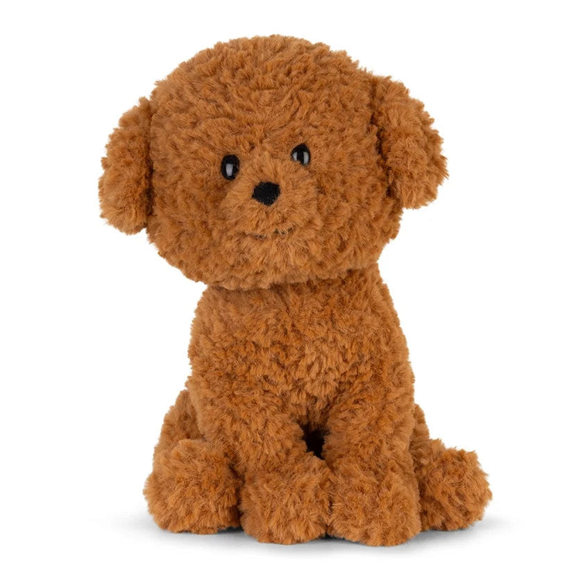Stacy the Labradoodle