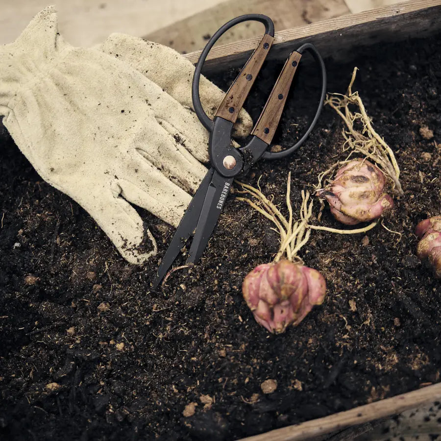 Garden Scissors
