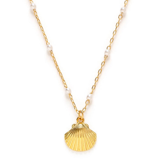 Scallop Shell and Pearl Necklace