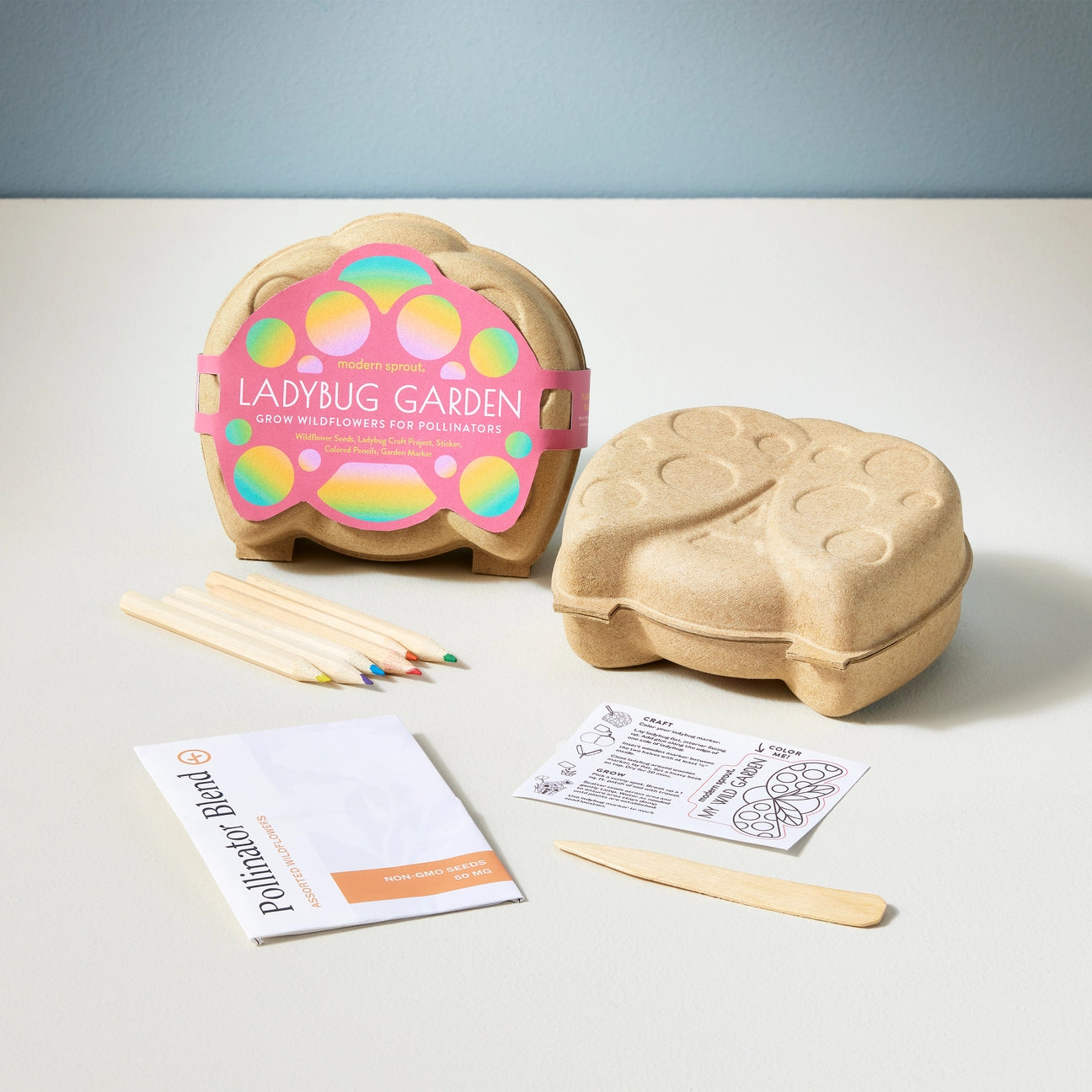 Curious Critters Activity Kits