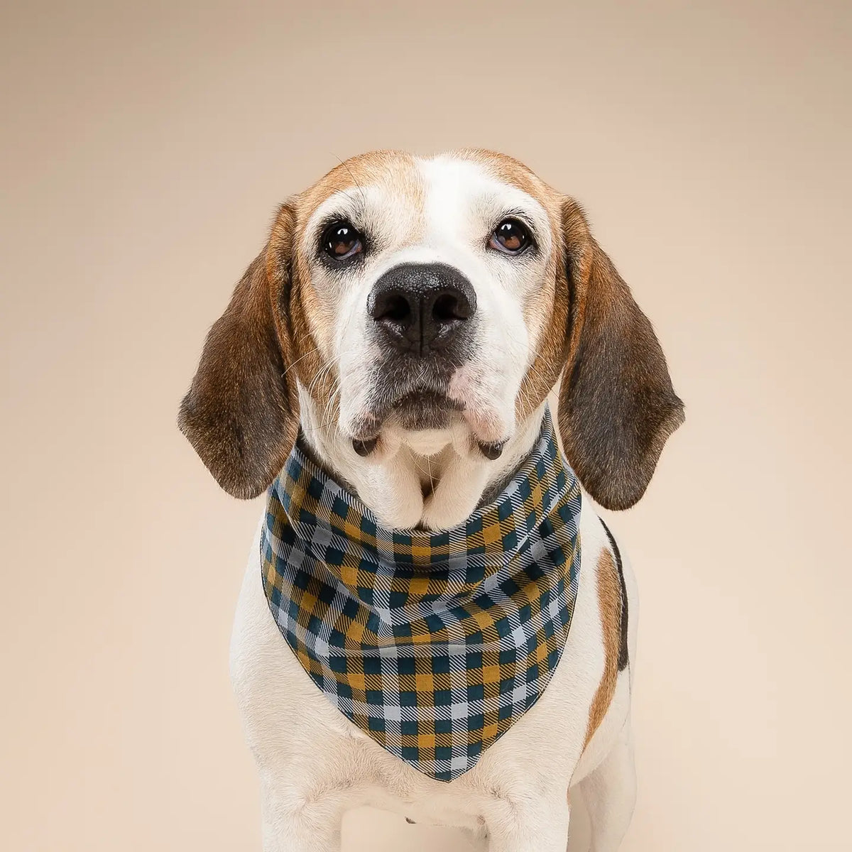 Maple Dog Bandana