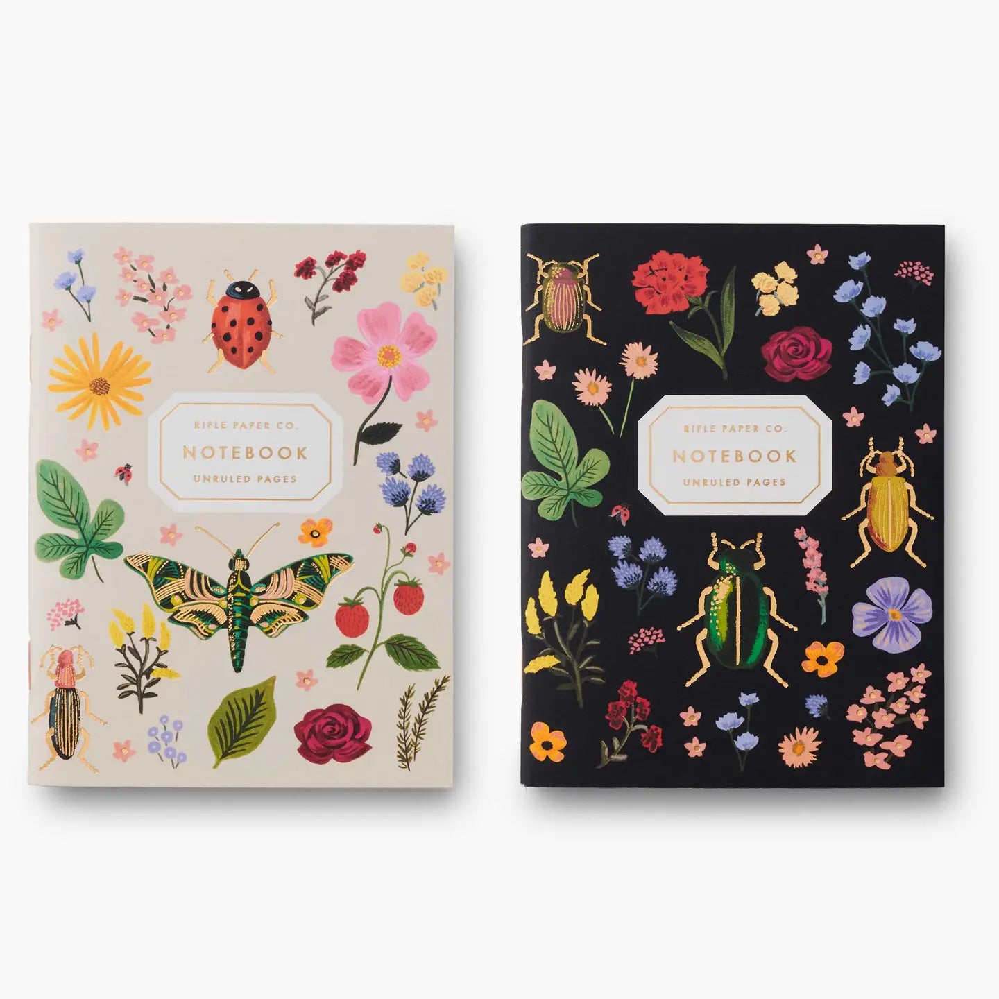 Pair of 2 Curio Pocket Notebooks