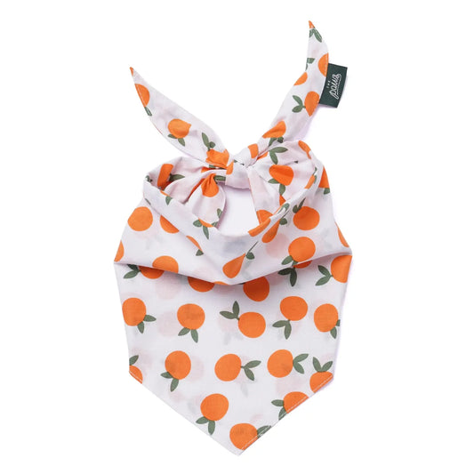 Clementine Dog Bandana