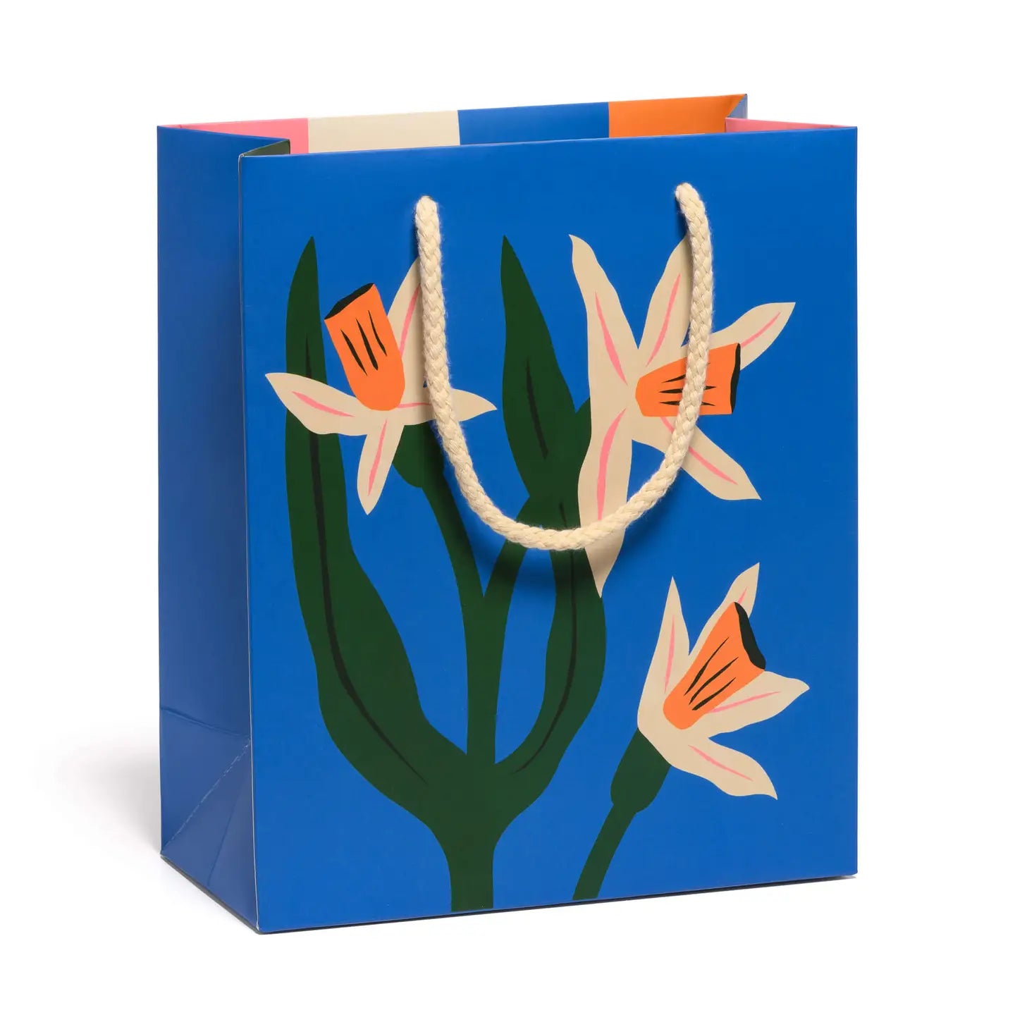 Medium Red Cap Gift Bag
