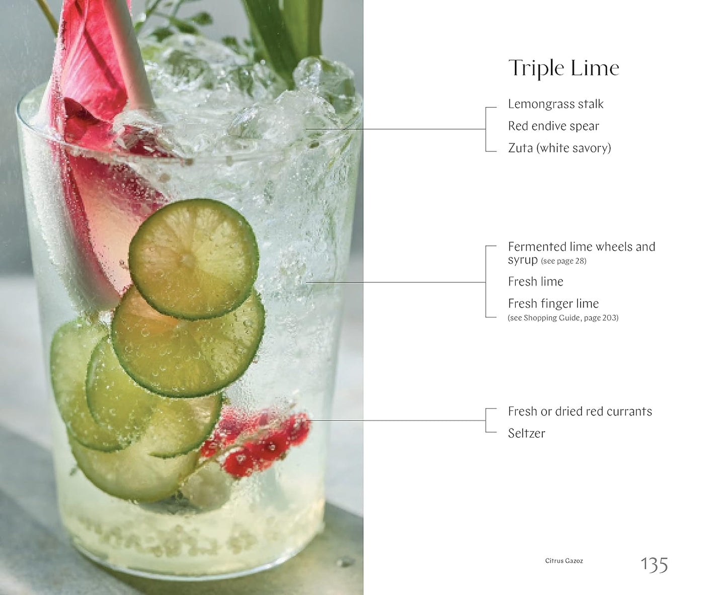 Gazoz: The Art of Making Magical Seasonal Sparkling Drinks