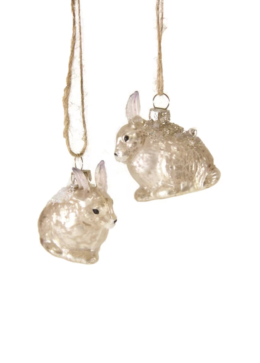 Arctic Hare