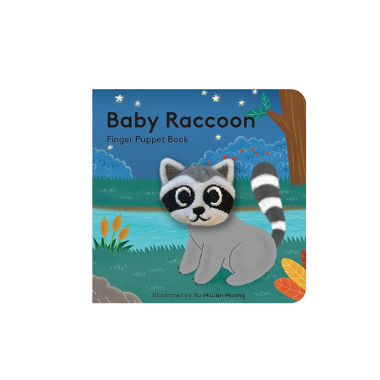 Baby Raccoon