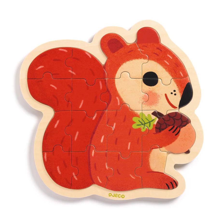 Nut Wooden Puzzle