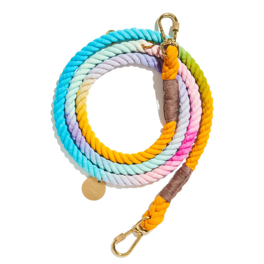 The Noelle Dog Leash