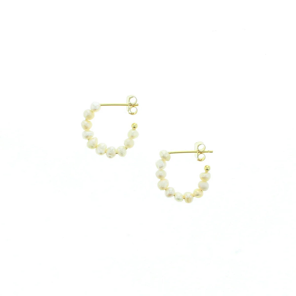 Nautilus Earrings