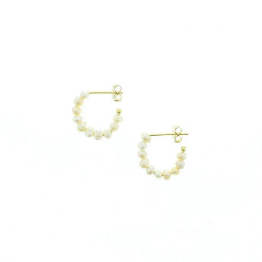 Nautilus Earrings